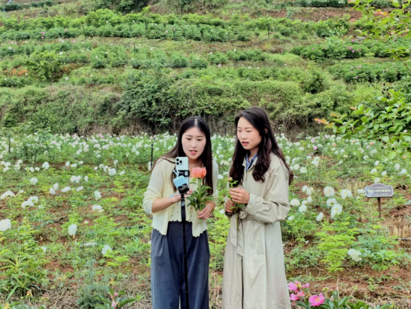 重庆垫江：农文旅融合 “花经济”推动乡村振兴_fororder_图片2